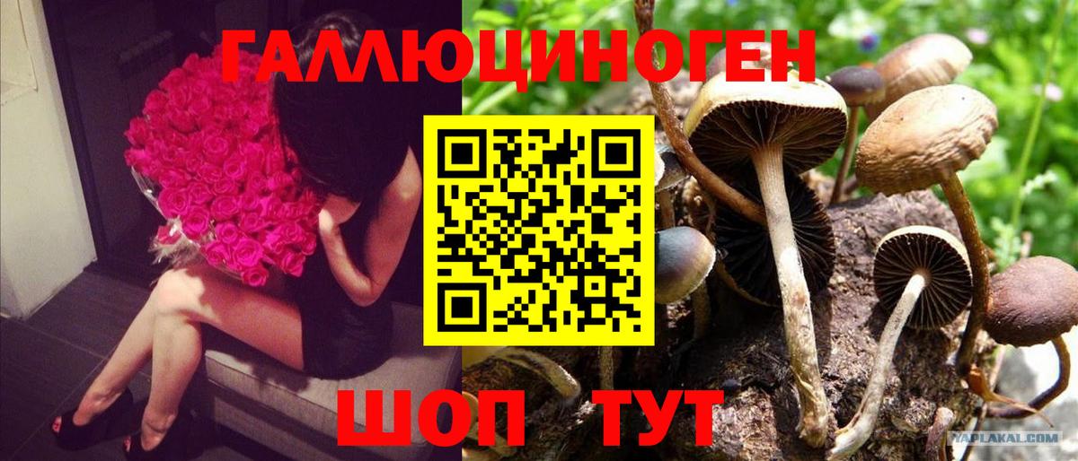 Чусовой  Галлюциногенные грибы Magic Shrooms  Вход с VPN  Псилоцибиновые грибы GOLDEN TEACHER 